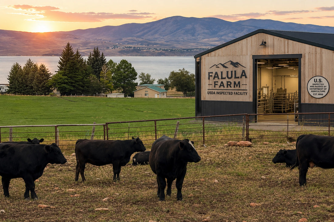 The Ranch They Never Have to Leave