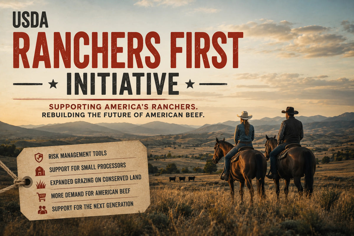 USDA Puts “Ranchers First”: A New Push to Rebuild America’s Beef Herd